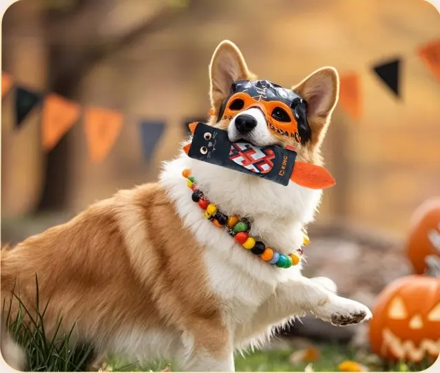 Why Does My Dog Suck on His Toy