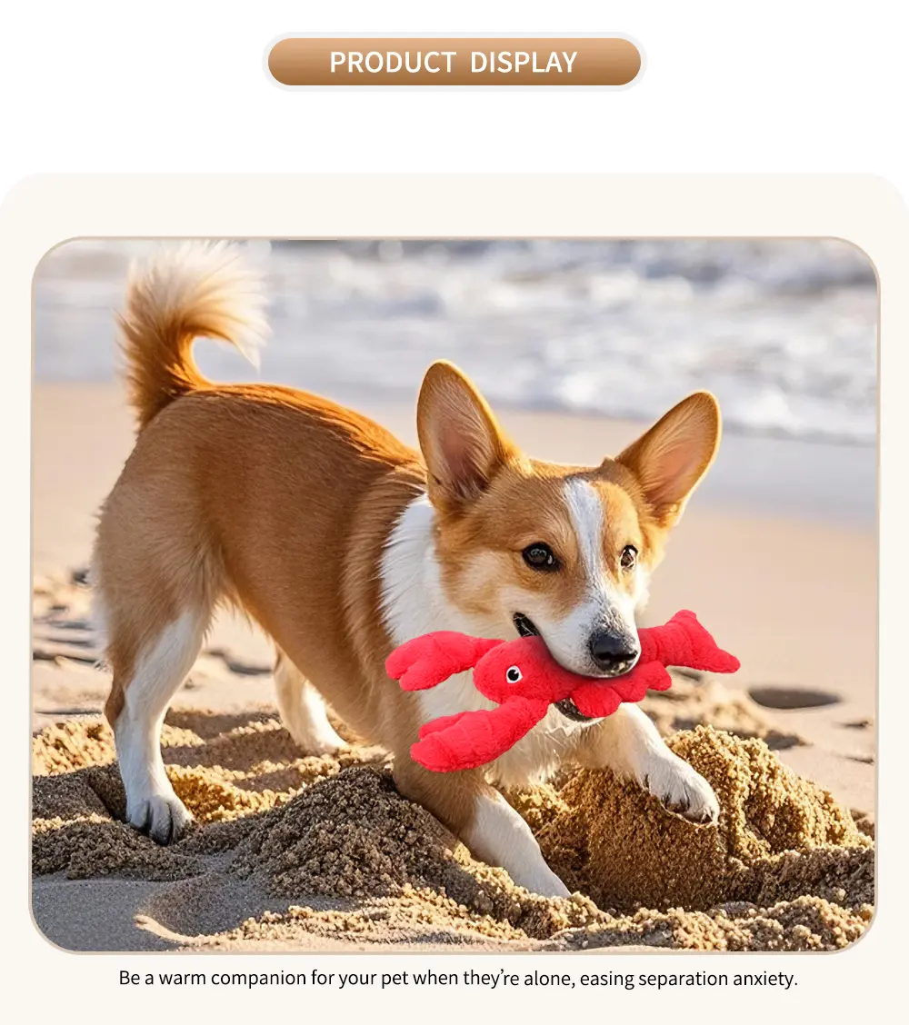 Seahorse & Lobster Plush Toys Your Pet's New Best Friends (10)