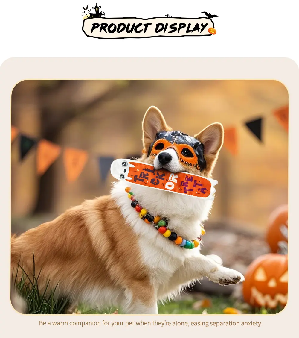 detail about Halloween drawing toy