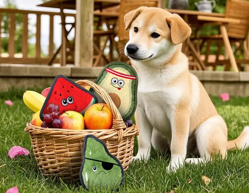 Fun-filled Ways Unleashed: How to Get a Dog to Play with a Chew Toy in No Time