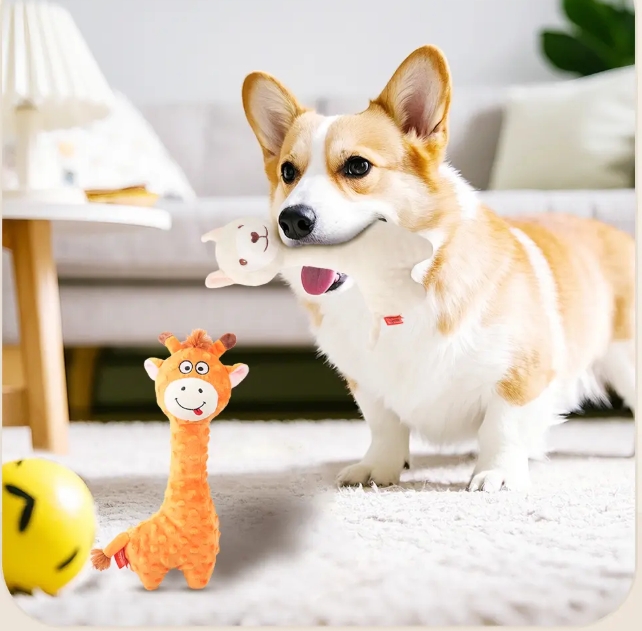 微信截图_20250527160338.png