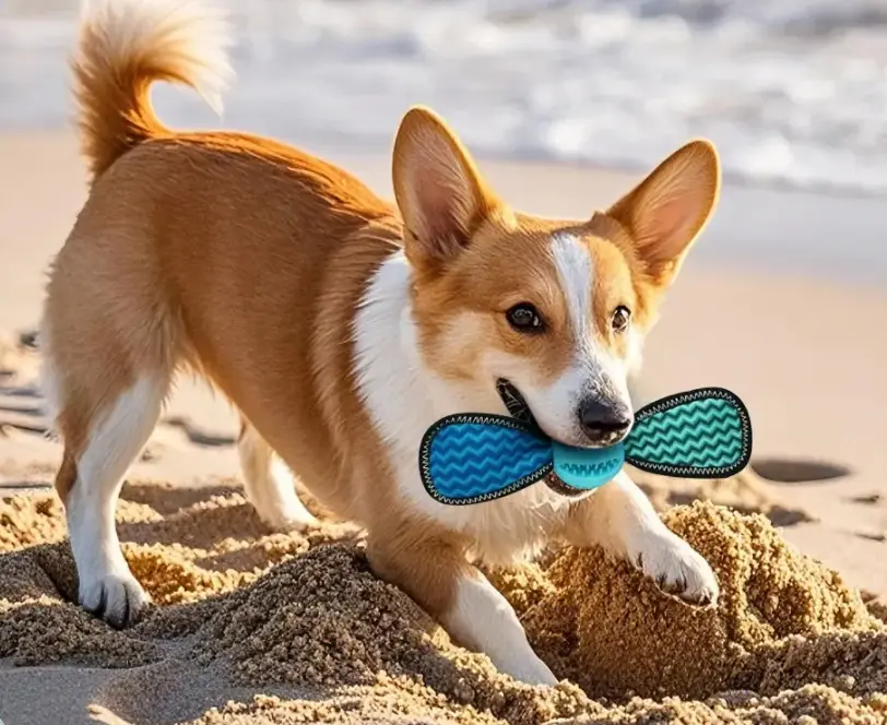 Are Nylon Bones Safe for Dogs? Uncover the Truth About Their Safety & Durability for Your Canine Companion's Chewing Needs!