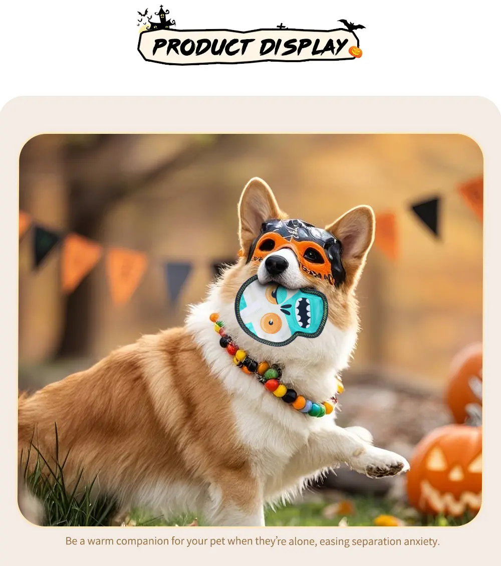 detail about Halloween drawing toy