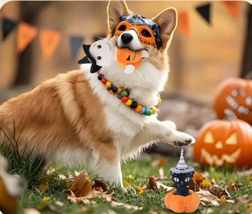 DKING Plush Toys: Where Fashion, Fun, and Sustainability Converge for Pets