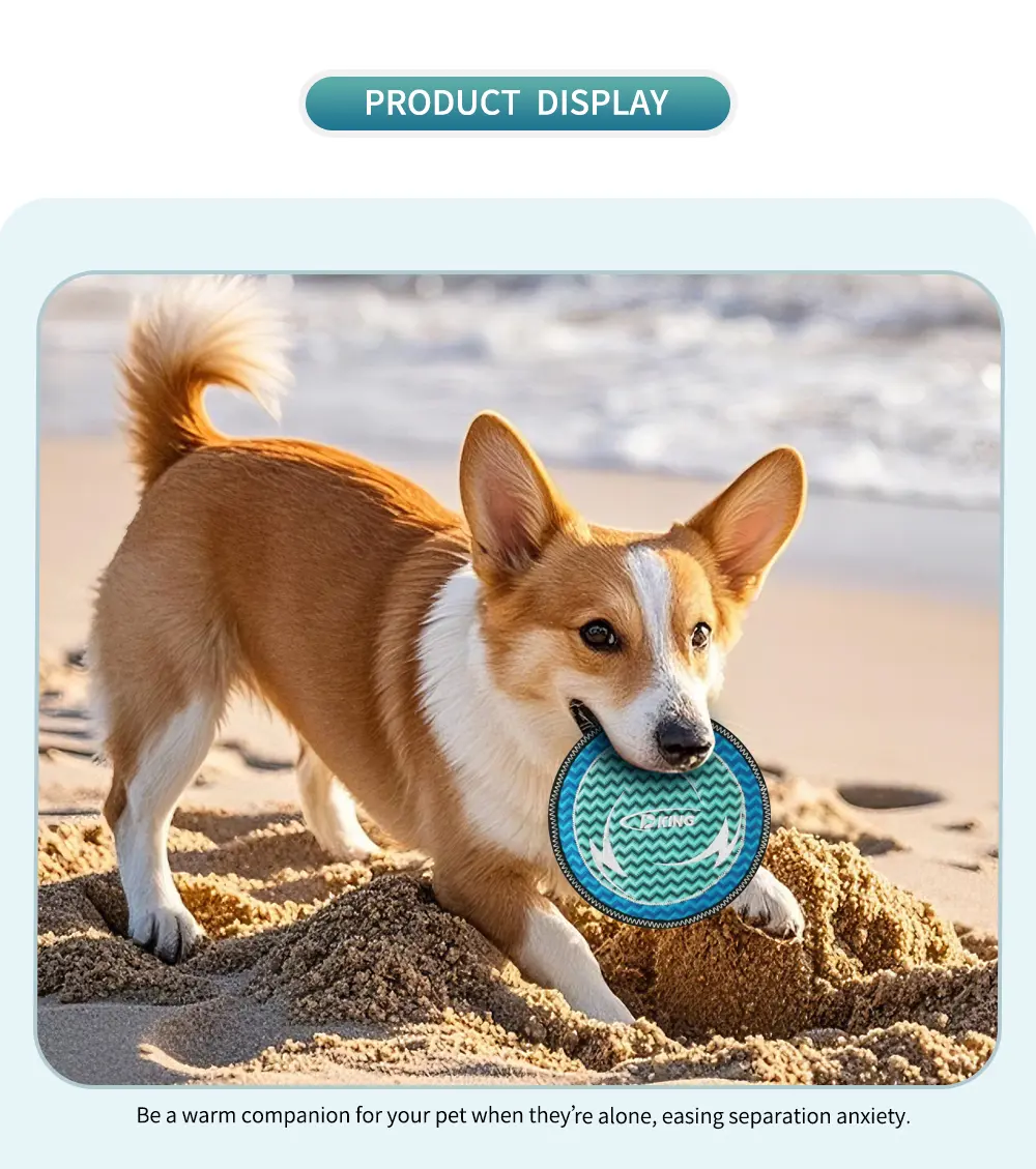 Creative plush toy for dogs, ensuring safe and joyful play