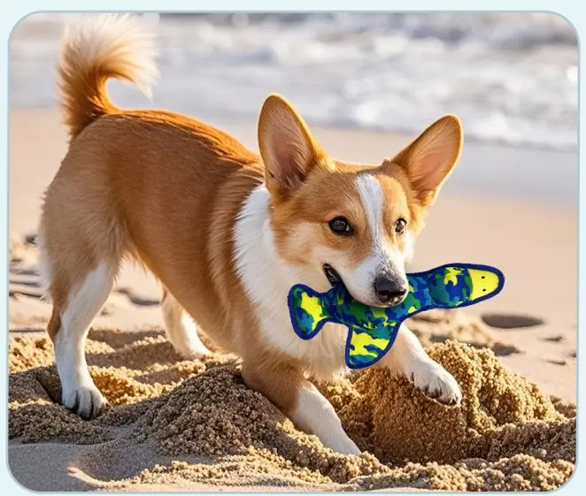 nylon bones for dogs are they safe?A Comprehensive Guide to Pet Chew Toys