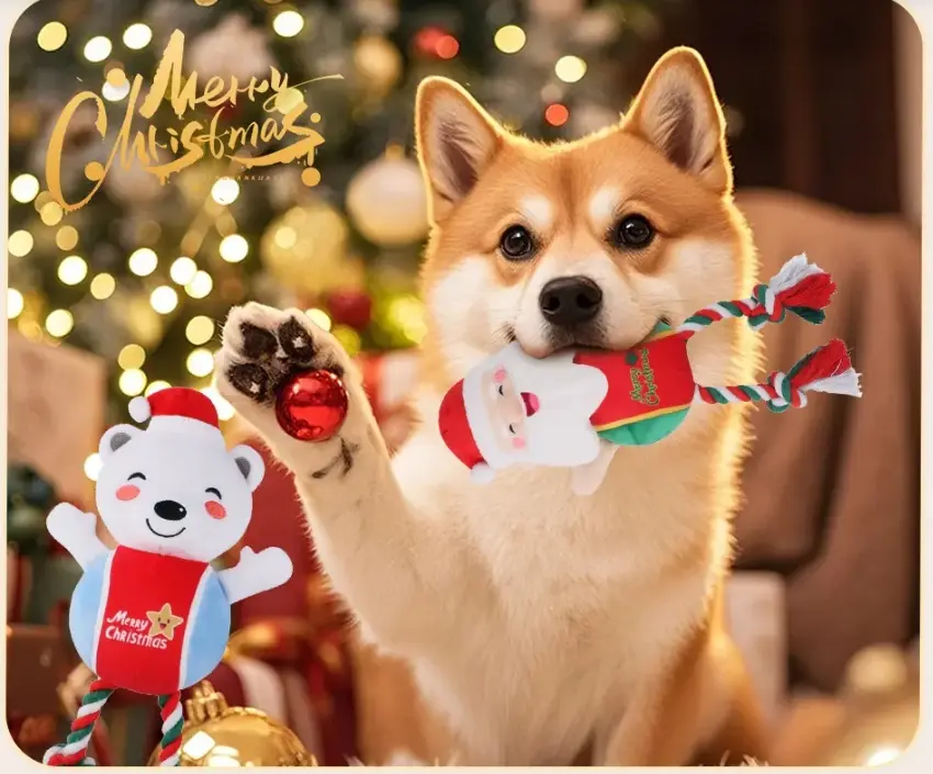 dog rope toy.png