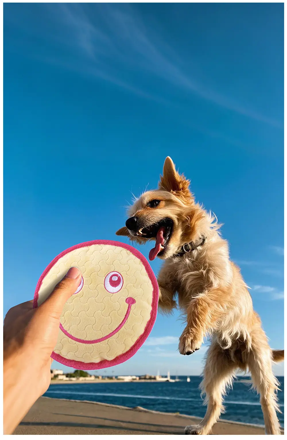The Latest Plush Toy Series Featuring Dogs Irised Love, Candle, Cigarette, Smile Emo (15)
