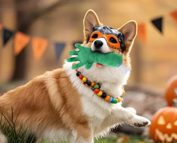 How to Wash Soft Dog Toys with Squeakers: A Complete Guide for Pet Parents