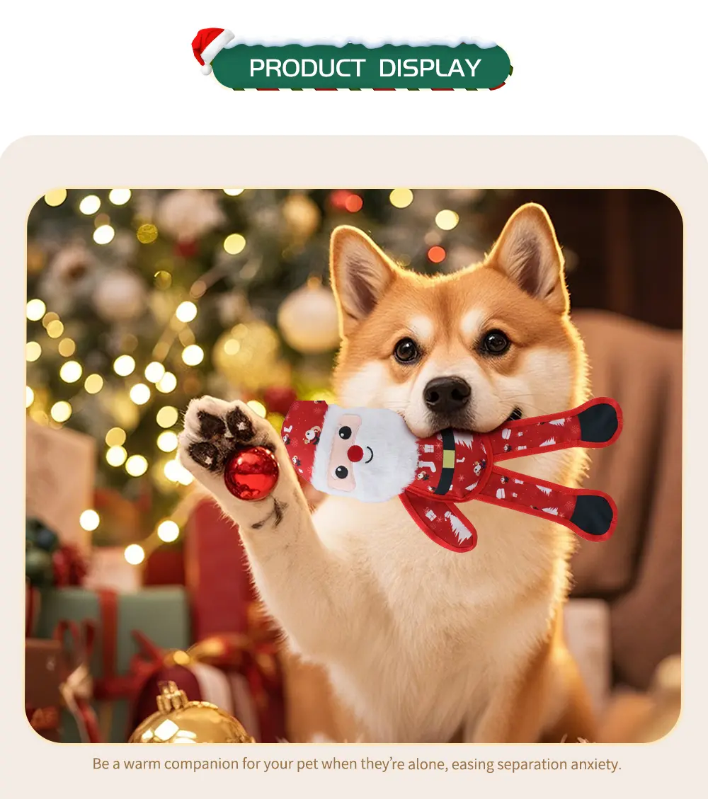 Christmas Oblate-2 (9)