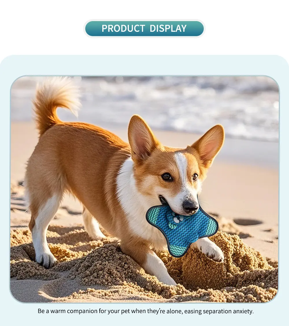 A Newly Designed Line Of Unique Plush Toys Specifically Tailored For Pets Bear Frisbee, Kolar Frisbee, Fox Frisbee, Elephant Fr (6)