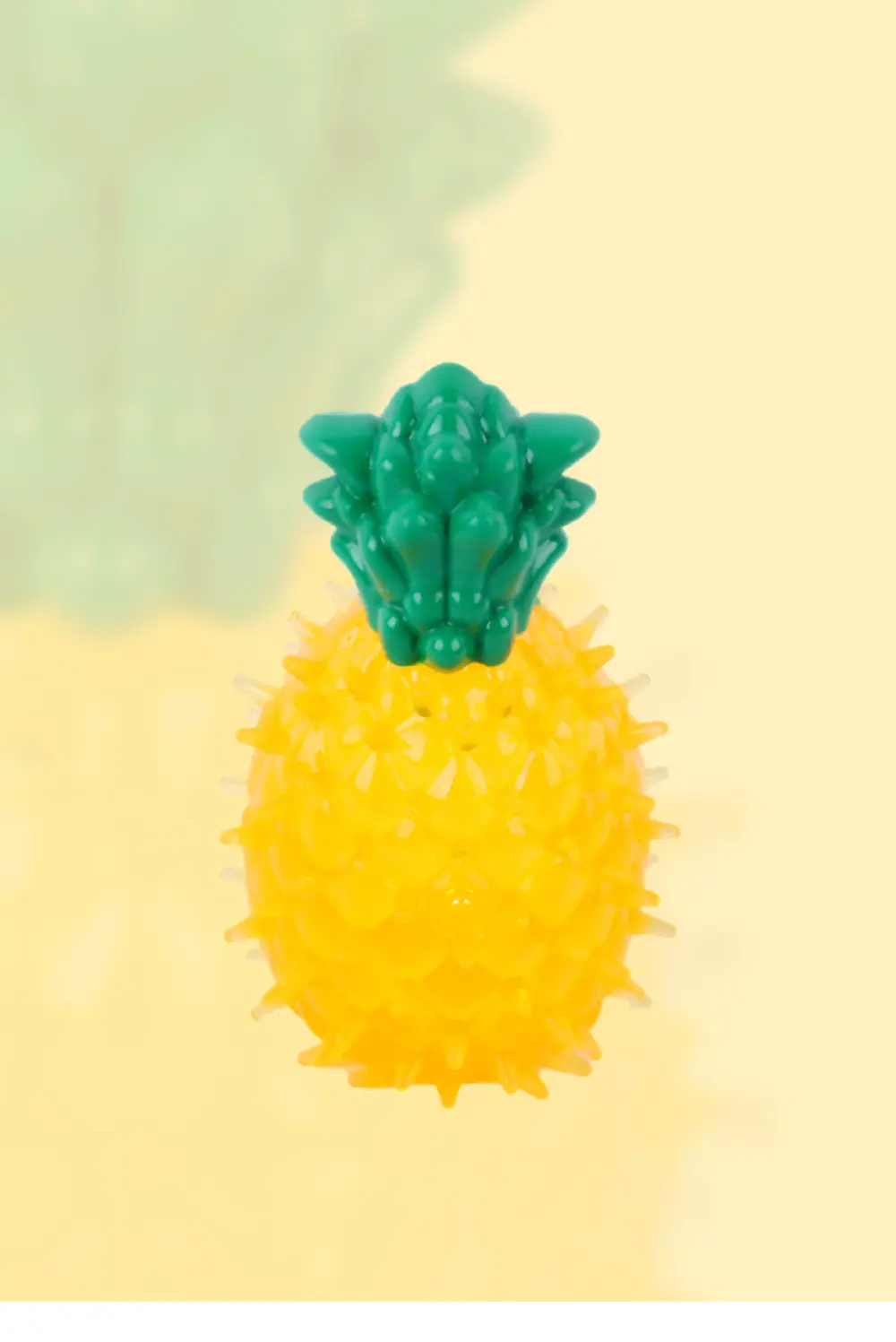 DP2020TPR-6_05