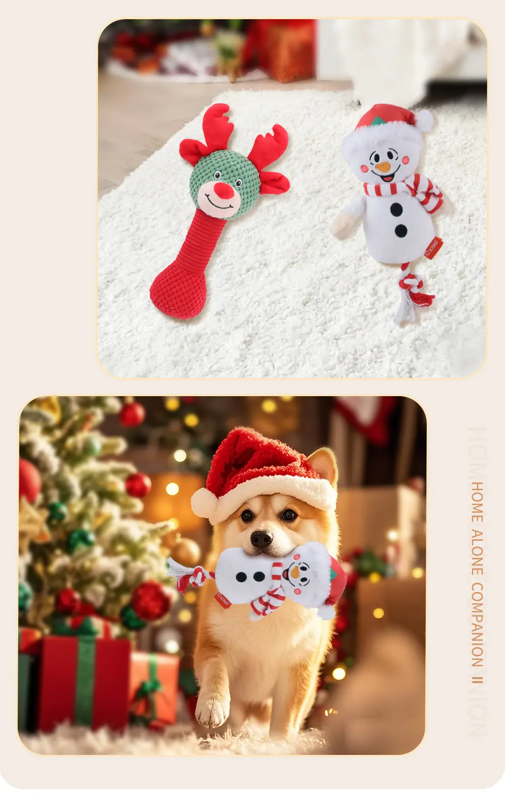 Christmas Collection (10)