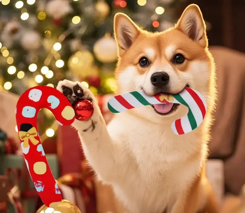 plush dog toys without squeakers.png
