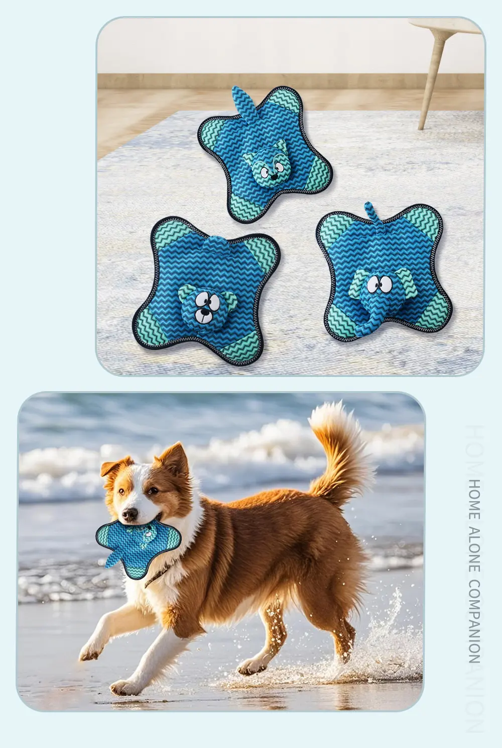 A Newly Designed Line Of Unique Plush Toys Specifically Tailored For Pets Bear Frisbee, Kolar Frisbee, Fox Frisbee, Elephant Fr (7)