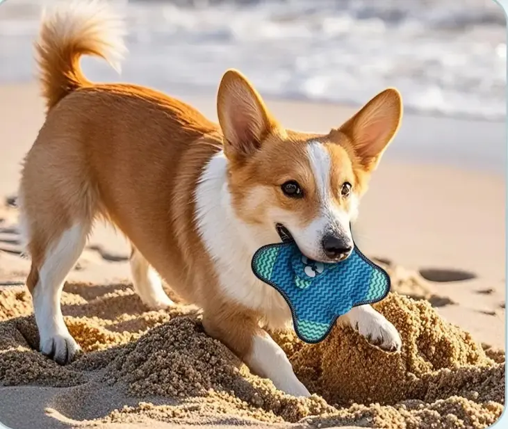 toys.png