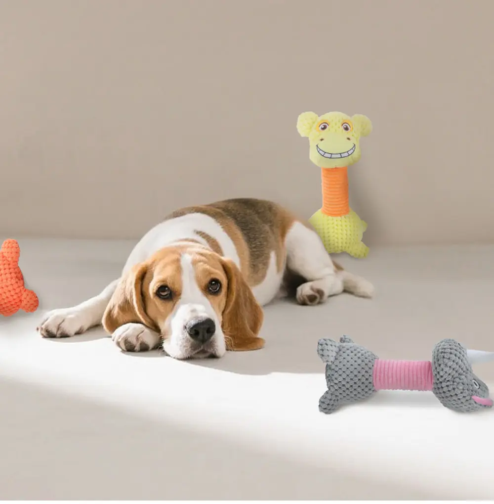 Plush Toy Collection: Dog Vocal Toys That Can't Be Chewed - Introduction to Pet Supplies Dog Toys